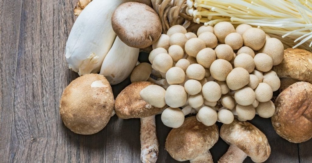 Multiple types of mushrooms, a great source of Vitamin D for gluten intolerant people, are gathered on a wooden background