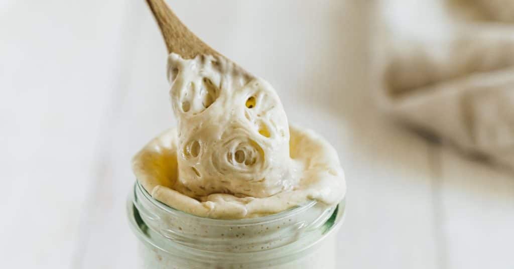 Gluten free sourdough bread starter recipe shown of a gooey, bubbly, wet dough being pulled out of a mason jar with a wooden spoon