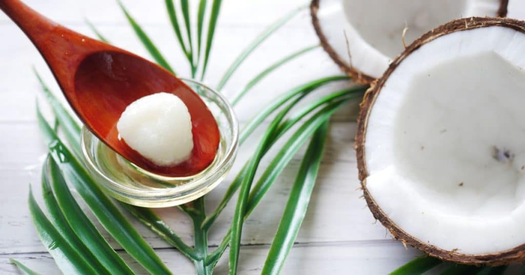 A wooden spoon with a small ball of solid coconut oil, a good butter alternative for baking, melting into a little glass bowl surrounded by palm leaves and a halved coconut
