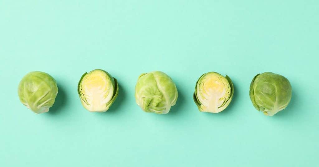Five single Brussels sprouts are evenly spaced in a line on a plain colored surface