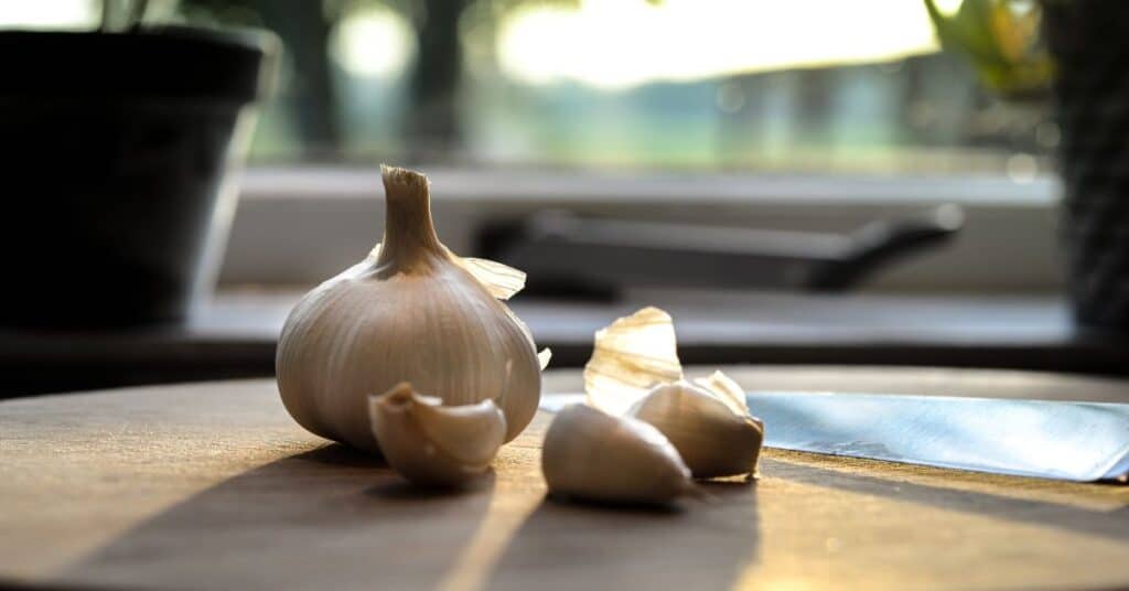 A garlic bulb and some cloves rest on a cutting board with afternoon light shining in on them from a kitchen window, foods to help detox