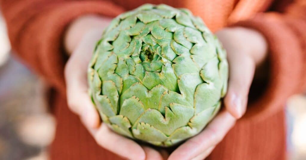 A woman in a bright sweater holds out a large artichoke bulb, foods to help detox