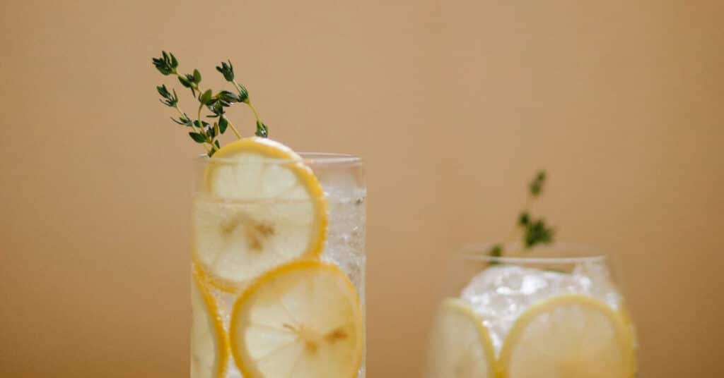 Icy glass of water, garnished with lemon slices and a sprig of rosemary