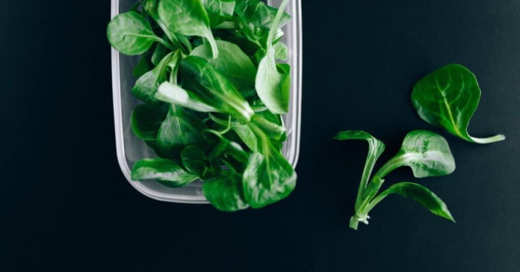 Plastic container filled with spinach leaves