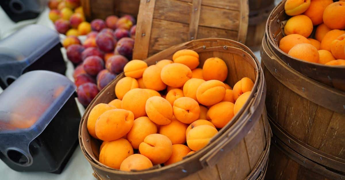 peaches in a wodden barrel at a farmer's market table, seasonal foods