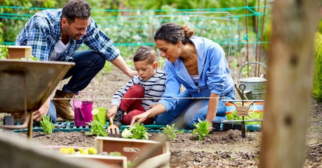 A mother, father, and young boy planting small green plants in their outdoor garden