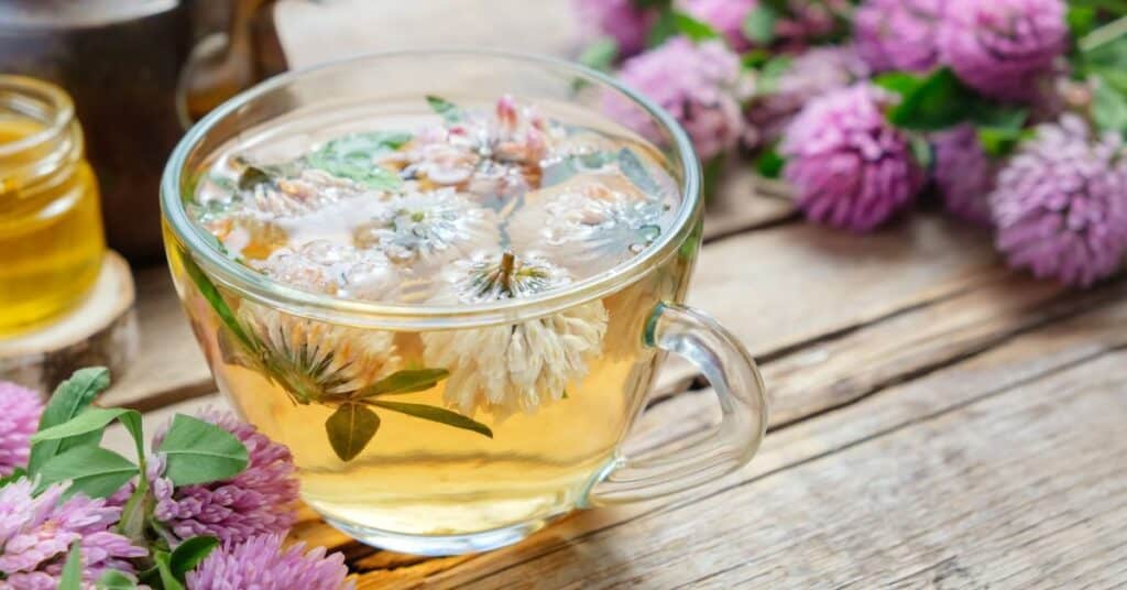 Red clover tea, herbs for menopause
